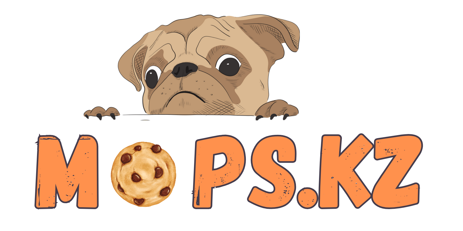 Взгляните на мой дизайн Canva!